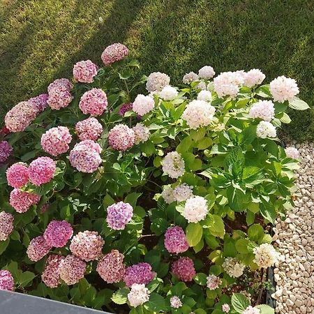 La Casa Di Francesca B&B Con Parcheggio Privato Porto Cesareo Exterior foto
